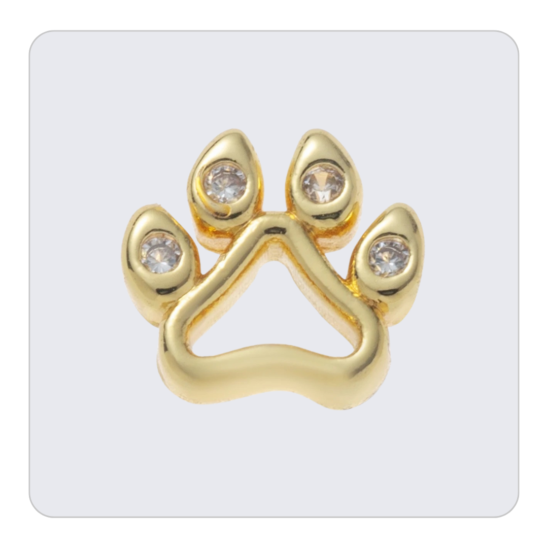 Gold Paw Charm