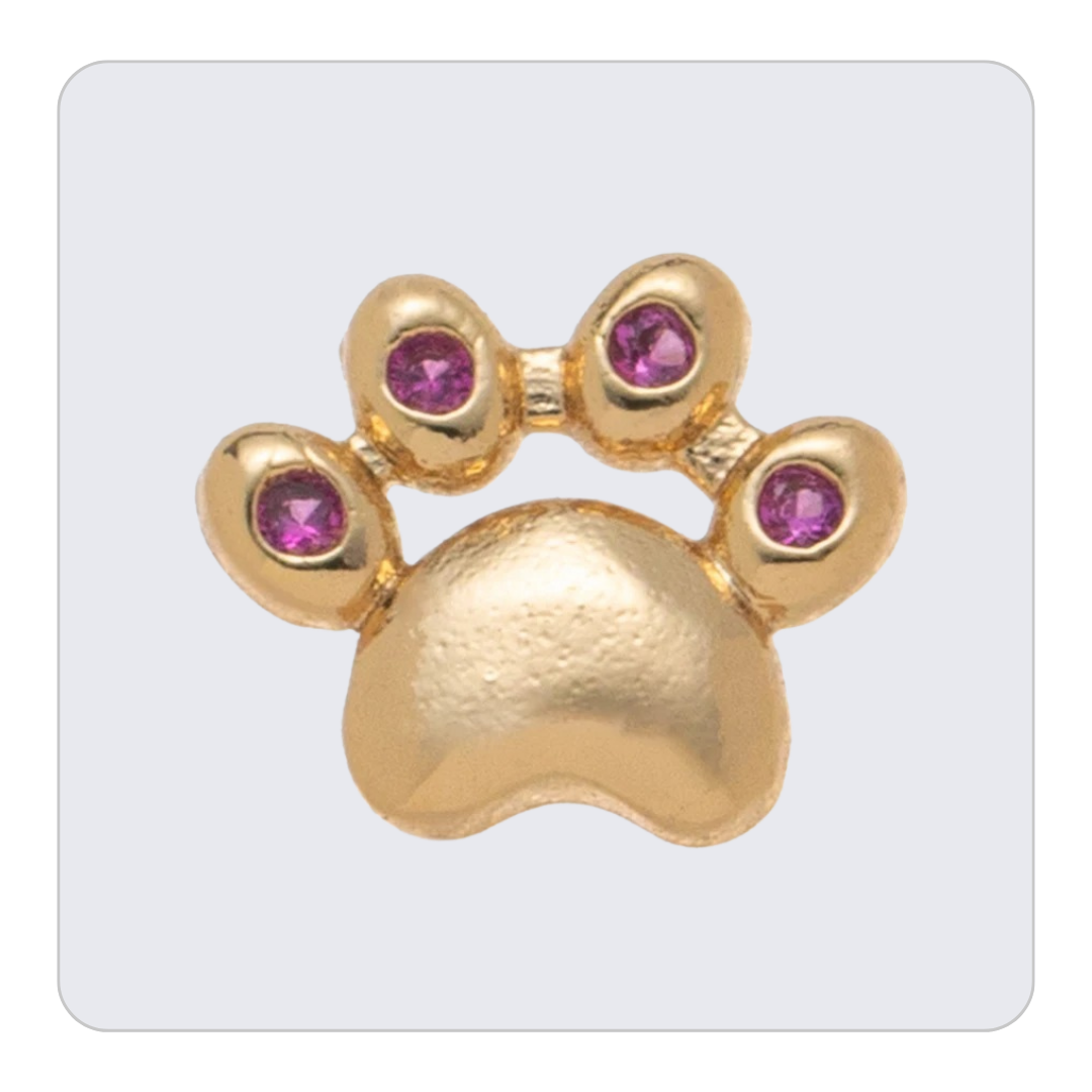Paw Charm