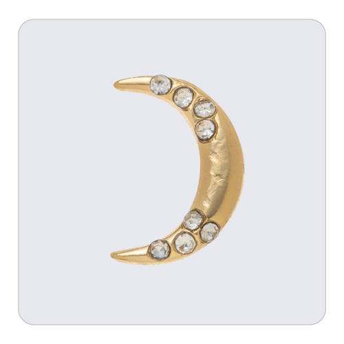 Moon Charm