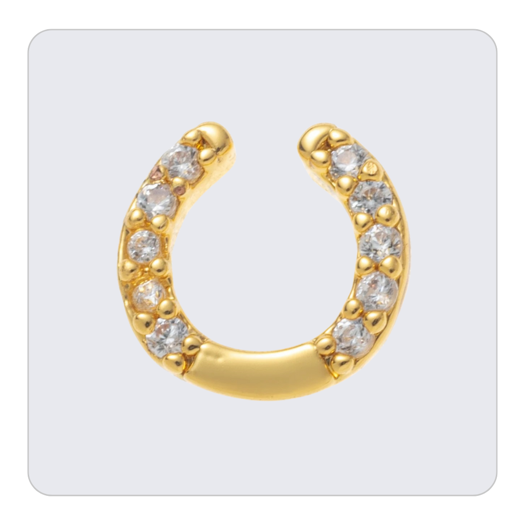 Horse Shoe Charm