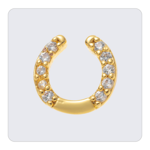 Horse Shoe Charm