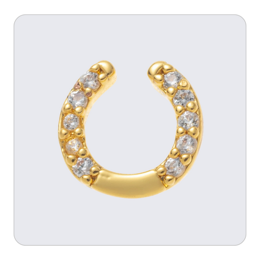 Horse Shoe Charm