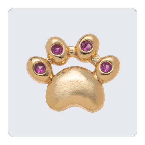 Paw Charm