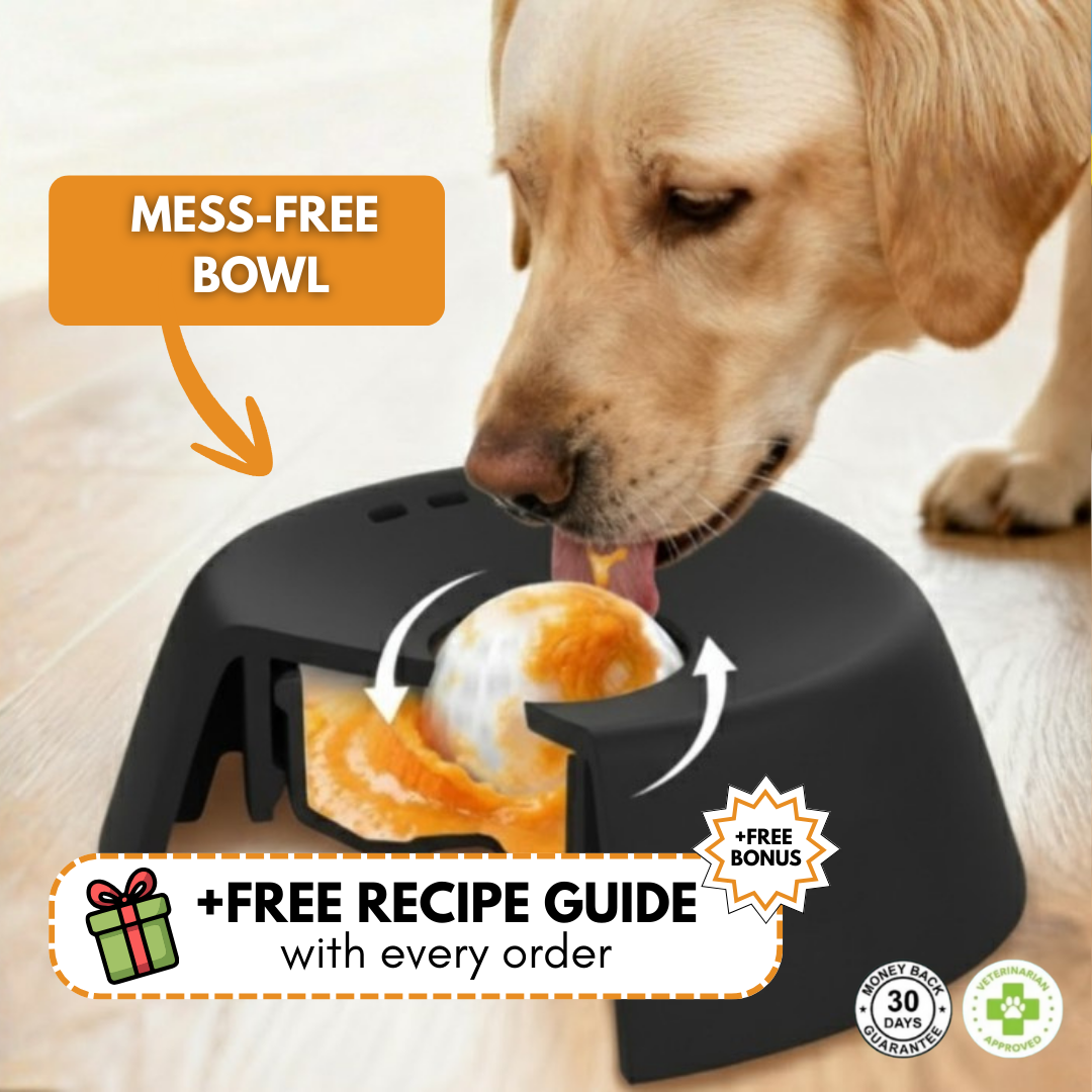 Mess-Free LickPal™ Bowl
